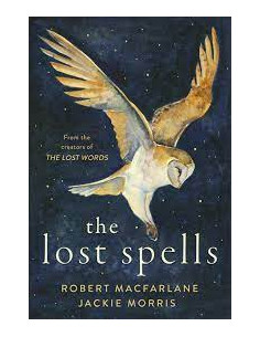 The Lost Spells : An enchanting, beautiful book for...