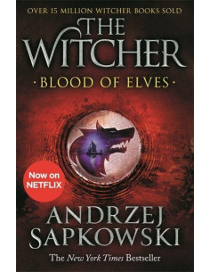 Blood of Elves: Witcher 1