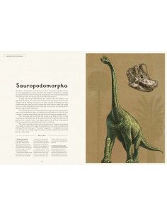 Dinosaurium 2
