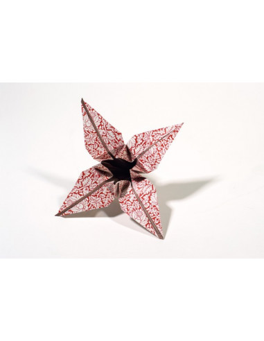 Chinese Patterns : Origami Book