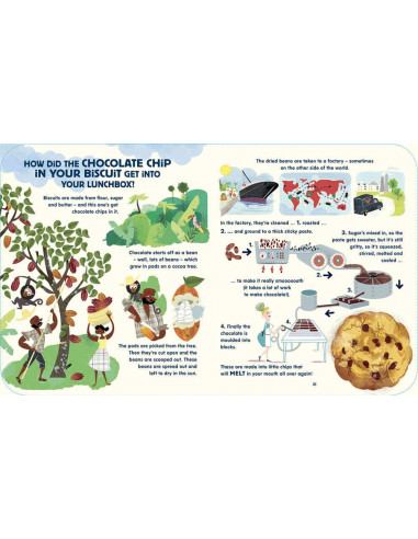 Lunchbox: The Story of Your Food