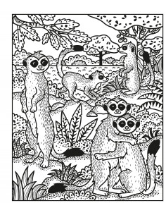 Animals Magic Painting Book 2