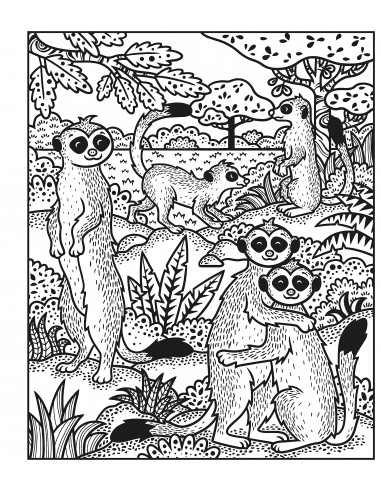 Animals Magic Painting Book