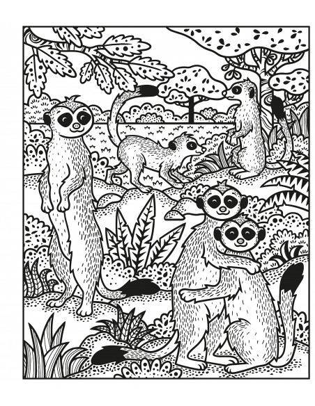 Animals Magic Painting Book