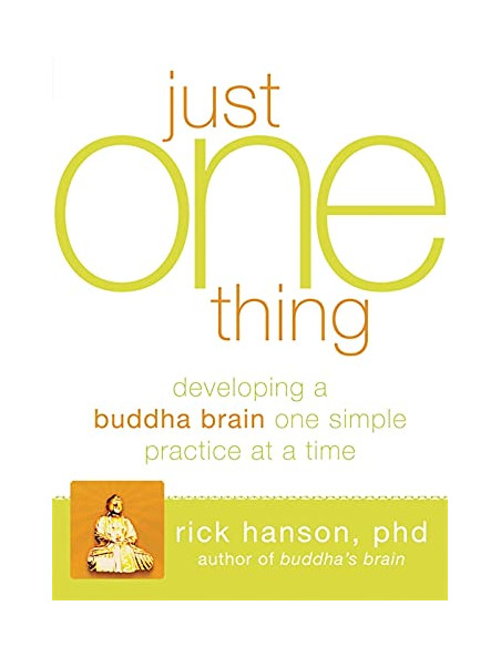 Just One Thing : Developing A Buddha Brain One Simple Practice at a Time