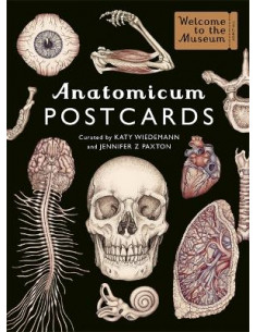 Anatomicum Postcard Box