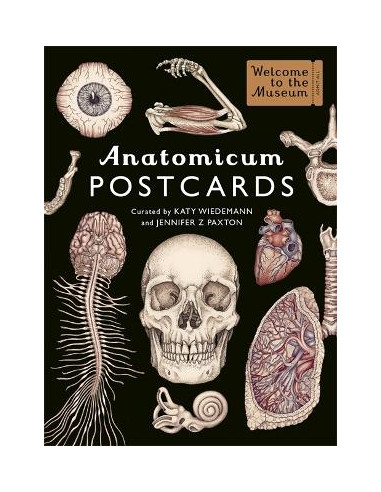 Anatomicum Postcard Box