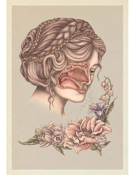 Anatomicum Postcard Box